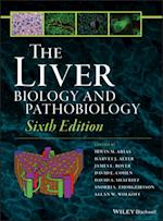 Liver