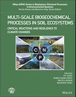 Multi-Scale Biogeochemical Processes in Soil Ecosystems