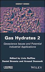 Gas Hydrates 2