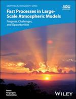 Fast Physics in Large Scale Atmospheric Models