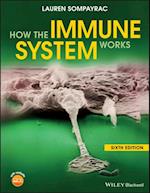 How the Immune System Works