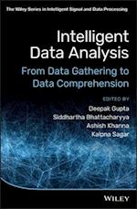 Intelligent Data Analysis – From Data Gathering to Data Comprehension