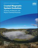 Crustal Magmatic System Evolution