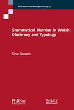 Grammatical Number in Welsh