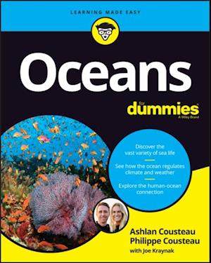 Oceans For Dummies