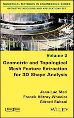 Geometric and Topological Mesh Feature Extraction for 3D Shape Analysis
