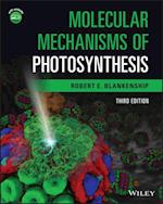 Molecular Mechanisms of Photosynthesis