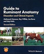 Guide to Ruminant Anatomy: Dissection and Clinical  Aspects