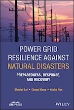 Power Grid Resilience against Natural Disasters – Preparedness, Response, and Recovery