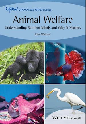 Animal Welfare: Understanding Sentient Minds and W hy It Matters