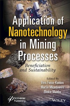 Application of Nanotechnology in Mining Processes