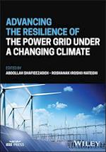 Advancing the Resilience of the Power Grid under a  Changing Climate