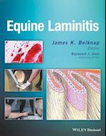 Equine Laminitis