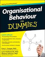 Organisational Behaviour For Dummies