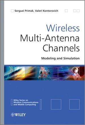 Wireless Multi-Antenna Channels