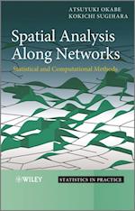Spatial Analysis Along Networks