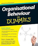 Organisational Behaviour For Dummies