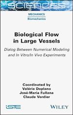 Biological Flow in Large Vessels