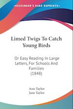 Limed Twigs To Catch Young Birds