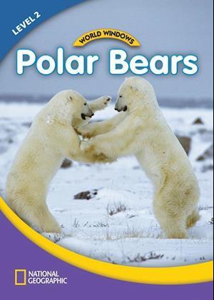 World Windows 2 (Science): Polar Bears