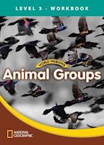World Windows 3 (Science): Animal Groups Workbook