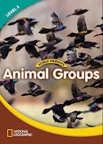 World Windows 3 (Science): Animal Groups
