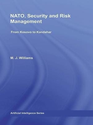 NATO, Security and Risk Management