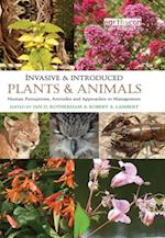 Invasive and Introduced Plants and Animals