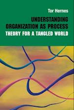 Understanding Organization as Process