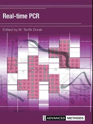 Real-time PCR