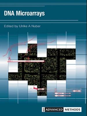 DNA Microarrays