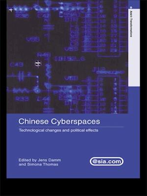 Chinese Cyberspaces