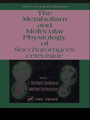 Metabolism and Molecular Physiology of Saccharomyces Cerevisiae