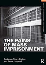 The Pains of Mass Imprisonment