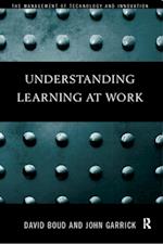 Understanding Learning at Work