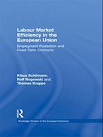 Labour Market Efficiency in the European Union