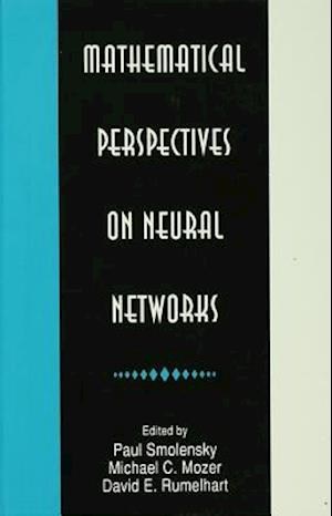 Mathematical Perspectives on Neural Networks