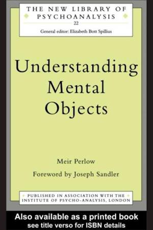 Understanding Mental Objects