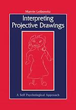 Interpreting Projective Drawings