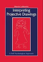 Interpreting Projective Drawings