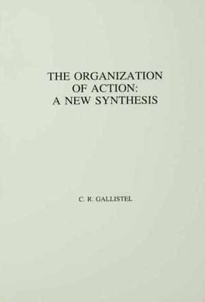 The Organization of Action