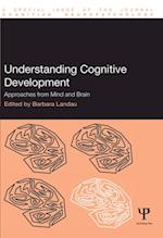 Understanding Cognitive Development