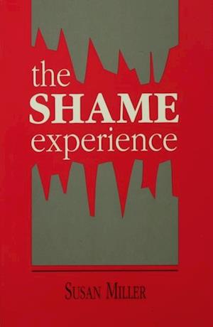 Shame Experience