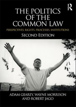 Politics of the Common Law