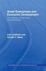 Small Enterprises and Economic Development