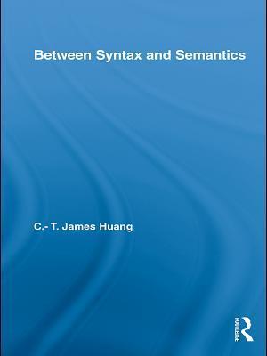 Between Syntax and Semantics