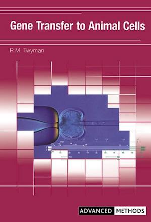 Gene Transfer to Animal Cells