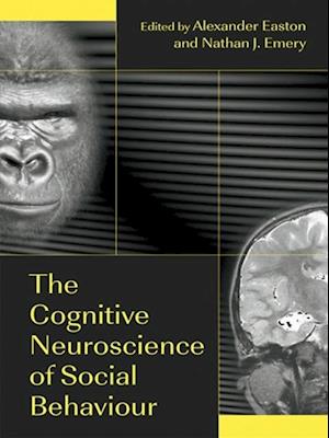 Cognitive Neuroscience of Social Behaviour