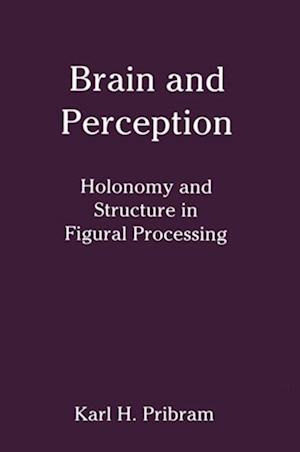 Brain and Perception