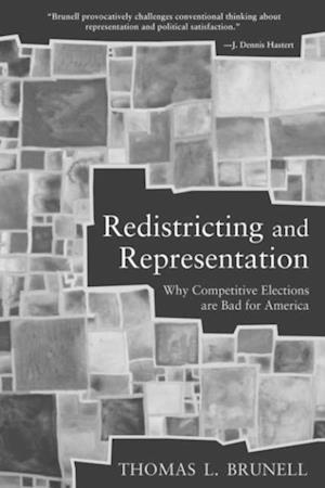 Redistricting and Representation